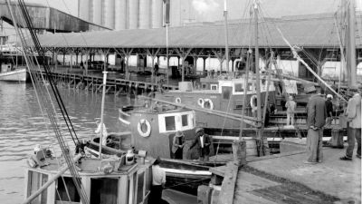 fishing boats at the collier jetty