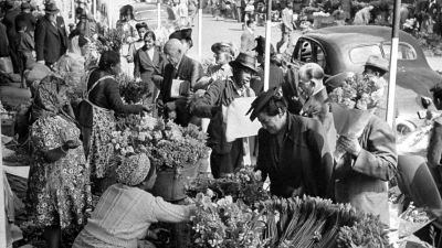 flower sellers parliament street