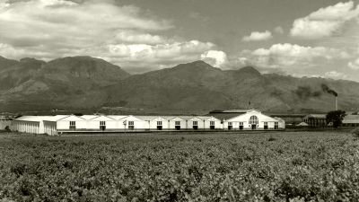 kwv cellars paarl lates
