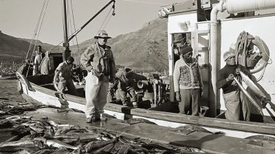 landing the catch of the day circa