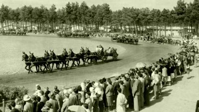 mule teams at the goodwood show