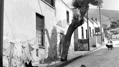 peaceful scene in the bo kaap