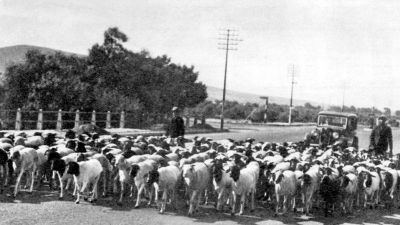 voortrekker rd bellville circa