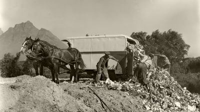 waste collection