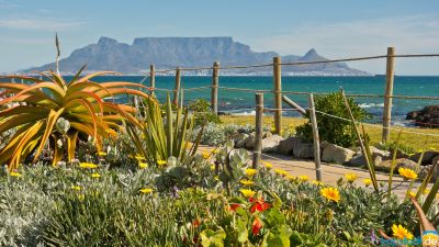 Table Mountain from Bloubergstrand