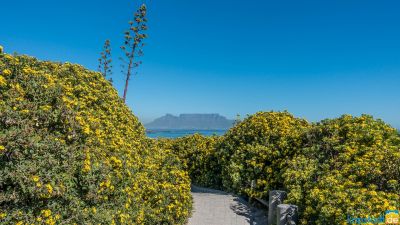 20170420 dsc02906