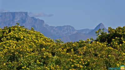 cape town kapstadt