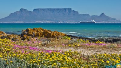 cape town photos