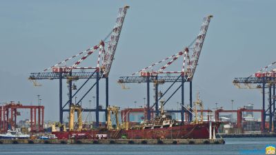Cargo cranes at Cape Town harbour