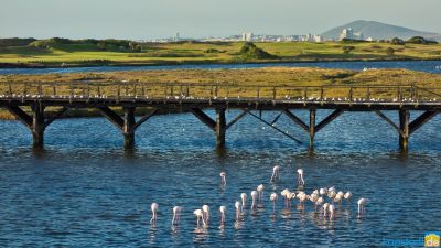 20161124 dsc08251