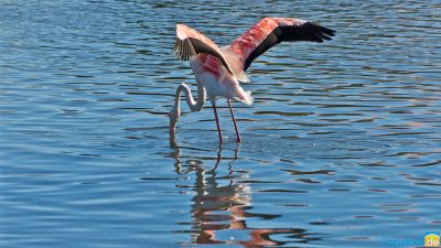 cape town photos